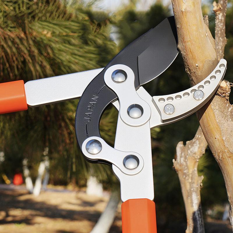 TreeReach™ – Sécateur Télescopique de Précision