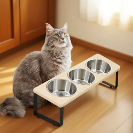 PAWDINER™ – Ensemble de Bols Surélevés pour Chats