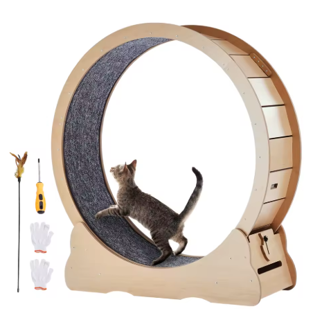 RUNORA™ – Grande Roue d’Exercice pour Chats