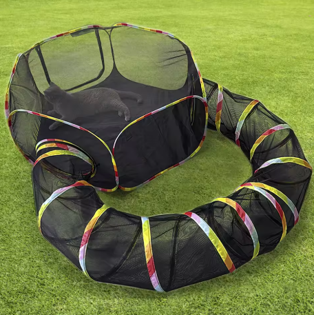 PLAYORA™ – Aire de Jeux Tunnel Pliable pour Chats et Petits Animaux